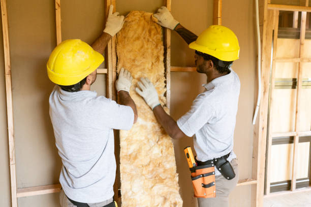 Types of Insulation We Offer in Oracle, AZ